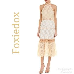 🌿 Foxiedox Amelia Midi Lace Dress Beige